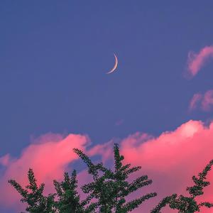 户外露出真空调教sm
