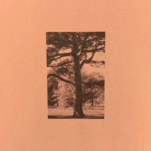 户外露出真空调教sm
